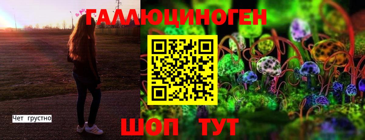 Чебоксары  Псилоцибиновые грибы GOLDEN TEACHER  Вход с VPN 