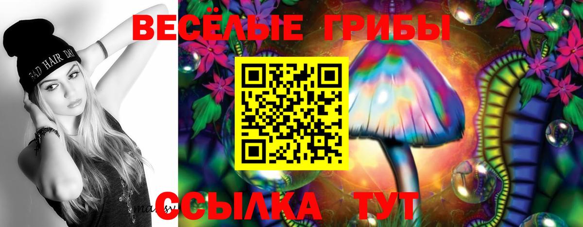 Галлюциногенные грибы Cubensis Чебоксары